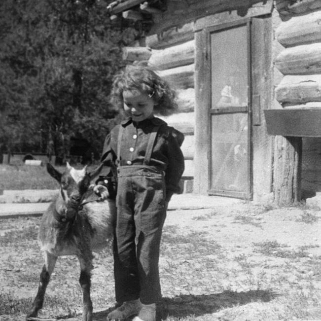 You are currently viewing Dreams of a Four-Year-Old Forest Ranger